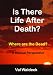 Is There Life After Death?