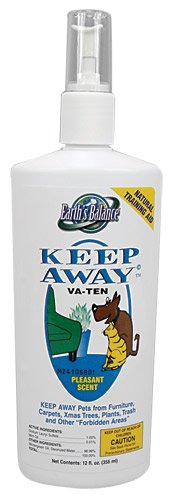 Childrens Toyshop  Pet Supplies : Keep Away - 12 oz