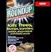 Roundup Roundup Tree Stump Killer 250Ml