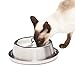 FrostyBowlz® 14oz. Cat & Toy Dog Chilled Bowl