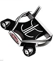 TaylorMade Rossa Monza Spider Putters (Right, 34 Inches)
