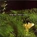 Music : Still Life