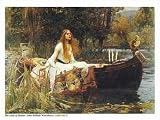 Lady of Shalott von John William Waterhouse, 82x61