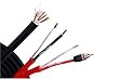 Monster Z2B ML-10/10 Biwire Audiophile Speaker Cable with Monster Lock Master Pin, 1 Pair (10 ft.)