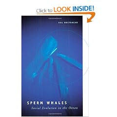 Sperm Whales: Social Evolution in the Ocean