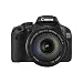 Canon EOS 550D SLR-Digitalkamera (18 Megapixel, LiveView) Kit inkl. EF-S 18-135mm 1:3,5-5,6 IS Objektiv (bildstabilisiert)
