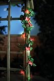 Premier 20 Foliage Light Garland W/Butterflies