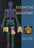 Large Essential Clinical Anatomy Large Essential Clinical Anatomy Cover