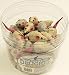 Mini Sweater Mice 60pcs Per Jar, Cat Toys, Cats, Pet & Supplies