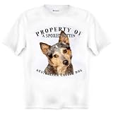 Australian Cattle Dog BLUE Property Of Adult T Shirt