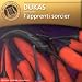 rondo.fr : DUKAS - L'apprenti sorcier