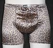 Leopard Print Pouch Shorts
