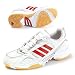 Adidas Women's Alpacto Indoor Sports Trainers