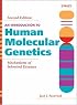 An Introduction to Human Molecular Genetics: Mechanisms of Inherited Diseases