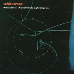 Schizophrenic Experience