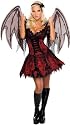 Fairy Vampire Costume