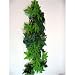 Terrarium Silk Plant 40cm/16"