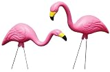 Allied Precision Garden Scene G21 Pink Flamingo Party Pack