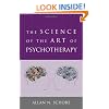 The Science of the Art of Psychotherapy (Norton Series on Interpersonal Neurobiology)