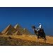 The Pyramids 1000Pc Jigsaw Puzzle