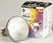 Outdoor Living : GE LIGHTING 16393 GE" HALOGEN COMPACT PAR30 LONGNECK WIDE FLOOD LIGHT BULB (Pack of 6)