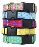 Blue w/ Purple iDot Collar - XSmall