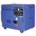 Blue Max GEN 6000DE 6,000 Watt Diesel Powered Enclosed Generator (Non-CARB Compliant)