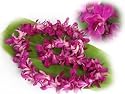 DENDROBIUM ORCHID LEI SINGLE