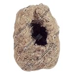 Bird Nest