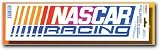 Chroma NASCAR Racing Bumper Sticker