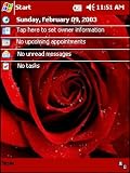 Rose Today Theme