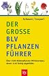 Der gro�e BLV - Pflanzenf�hrer: �ber 1500 Bl�tenpflanzen Mitteleuropas