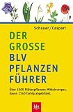 Der gro&szlig;e BLV - Pflanzenf&uuml;hrer: &Uuml;ber 1500 Bl&uuml;tenpflanzen Mitteleuropas - Thomas Schauer