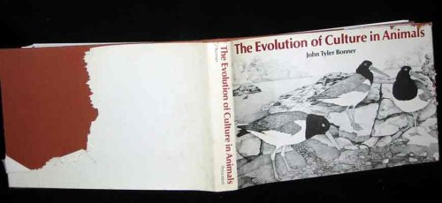 Animals and Evolution