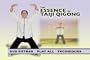 Essence of Taiji Qigong (Tai Chi Chi Kung) YMAA