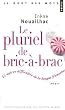 Le pluriel de bric-�-brac : Et autres difficult�s de la langue fran�aise