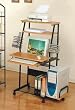 NEW COMPUTER WORKCENTER ON WHEELS W/ DOUBLE CD RACK