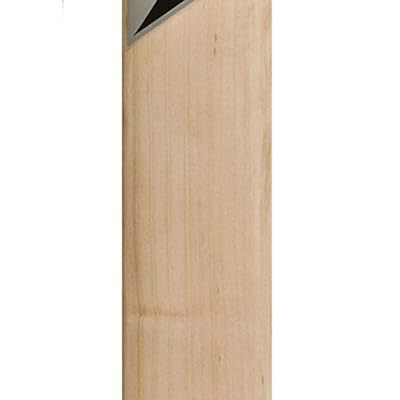 HAWK Run maker Men's Kashmir-Willow Cricket Bat Full Size Red