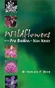 Wildflowers of the Pine Barrens of New Jersey