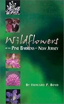 Wildflowers of the Pine Barrens of New Jersey