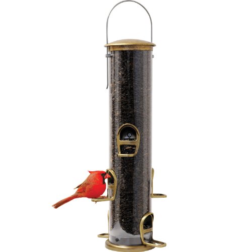 Aspects 420 Antique Brass Feeder Large
