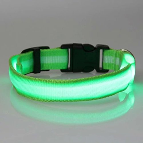 Dog Safety Collar, LED, Flashing and Solid, Nylon - FREE Extra Batteries - Large and Small Dogs