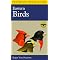 Backyard Birding Essentials