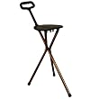 Harvy Walking Seat Cane - Black