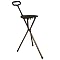 Harvy Walking Seat Cane - Black