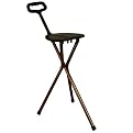 Harvy Walking Seat Cane - Black