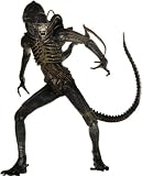Aliens Classic Warrior 9 Figure Case Of 6 41PEeWUtT1L. SL160 Aliens Classic Warrior 9 Figure Case Of 6