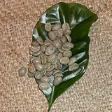 �n���C�R�i �G�L�X�g���t�@���V�[ �i������200g�j�u����20%���ʒ��I�v-���̂܂�-���[����i���[�X�gNo.5)
