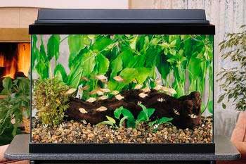 New Bio Wheel 20 Gallon Kit W/ Led Light