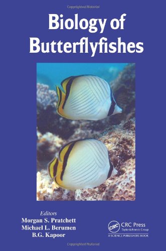 biology of butterflyfishes